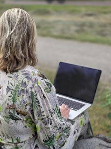 WordPress onderhoud Verzijl Online